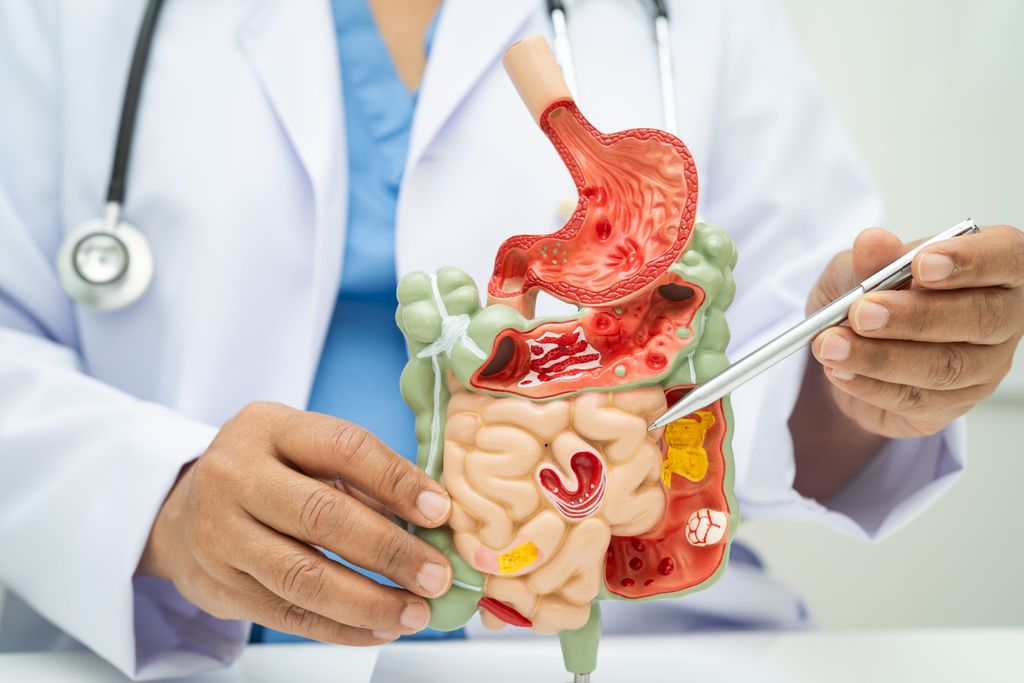 Centre d’endoscopie digestive