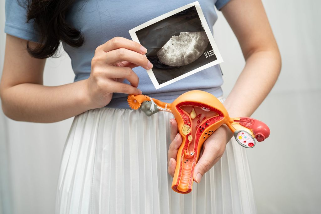 uterus ultrasound asian woman holding human anato 2026 01 11 10 45 51 utc scaled